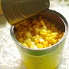 /product-detail/yellow-corn-canned-sweet-corn-340g-60434020589.html