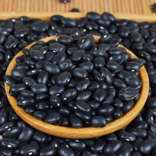 china black bean