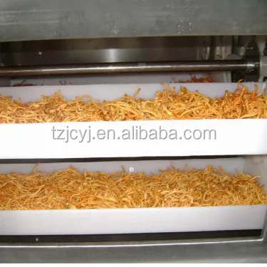 fruit drying machine (16).jpg