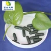 /product-detail/oem-factory-free-sample-herb-complex-male-enhancement-pills-62020094790.html