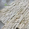 Very Nice Light Color Marble Stone Interior Wall Panel for Sale