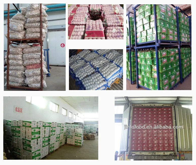 Hot Sale new harvest normal garlic in brine price with high quality