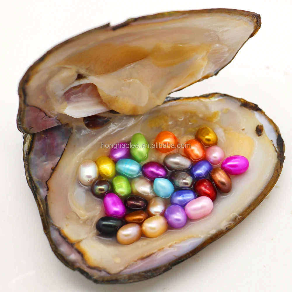 2018 Newest oval mixed color oyster pearls, 30 different color colored pearls in oysters, vacuum packed in stock wholesale
2018 Newest oval mixed color oyster pearls, 30 different color colored pearls in oysters, vacuum packed in stock wholesale