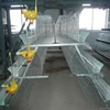 /product-detail/a-type-96-chicken-cages-zimbabwe-farm-poultry-equipment-for-layers-60686423782.html