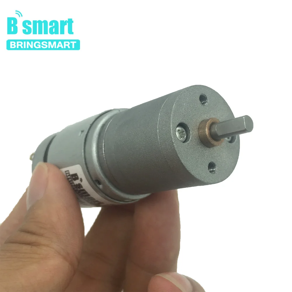 Bringsmart 24 Volt Dc Motor Micro Metal Gear Motor Gearbox Engine High