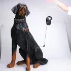 Hot Sale Wholesale Customized Retractable Dog Leash