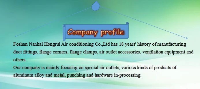 Company profile