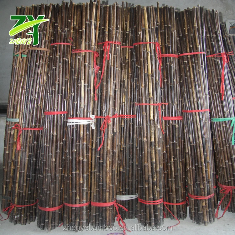 ZY-1006 Natural Black Poles2.jpg