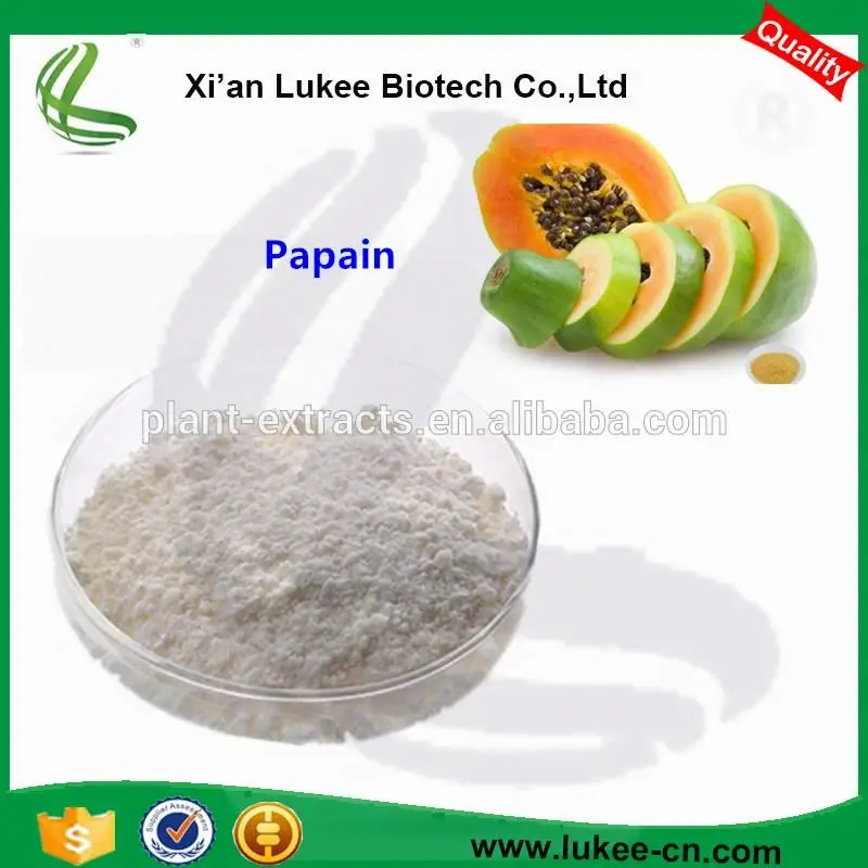 High quality papain enzyme, Papain, Papaya extract powder with best price
