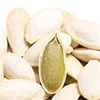 /product-detail/organic-lady-nail-pumpkin-seeds-in-shell-for-sale-62187091994.html