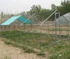 /product-detail/6x3x2m-large-chicken-coop-metal-hen-house-steel-cage-62058279118.html