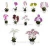 Wholesale cheap indoor decorative artificial white orchid flowers potted plant