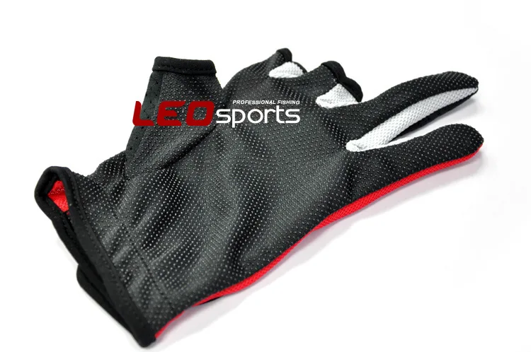 495399947_2050739421