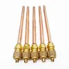 /product-detail/air-conditioner-spare-parts-1-2-1-4-copper-charging-valve-access-valve-60735106956.html