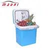 Reliable Quality Cheaper High Technology thermo cooler box