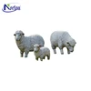 /product-detail/customized-garden-decoration-life-size-resin-sheep-for-salent-fsd096-60587192509.html