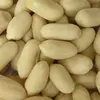 /product-detail/blanched-peanuts-125320074.html