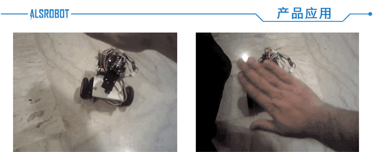 RB-02S103 Eye Sensor(1)