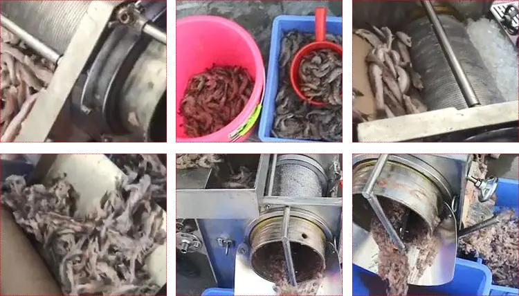 Tilapia Salmon Fish Meat and Bone Separator Machine Fish Meat Separator Machine details