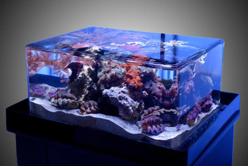 akuarium akrilik membersihkan zeroedge rimless aquariums schuran smallest kinclong rumahlia plexiglas sump overflowing weetect acrylglas certificats