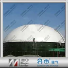 High Quality Steel Digester Tank for Biogas Plant