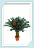 /product-detail/plastic-al-cycas-palm-tree-fiberglass-artificial-decorative-fake-cycas-tree-for-office-conference-room-decoration-60258311740.html