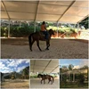 /product-detail/40x60m-big-warehouse-animal-tent-horse-stable-riding-tent-for-sale-60677022016.html