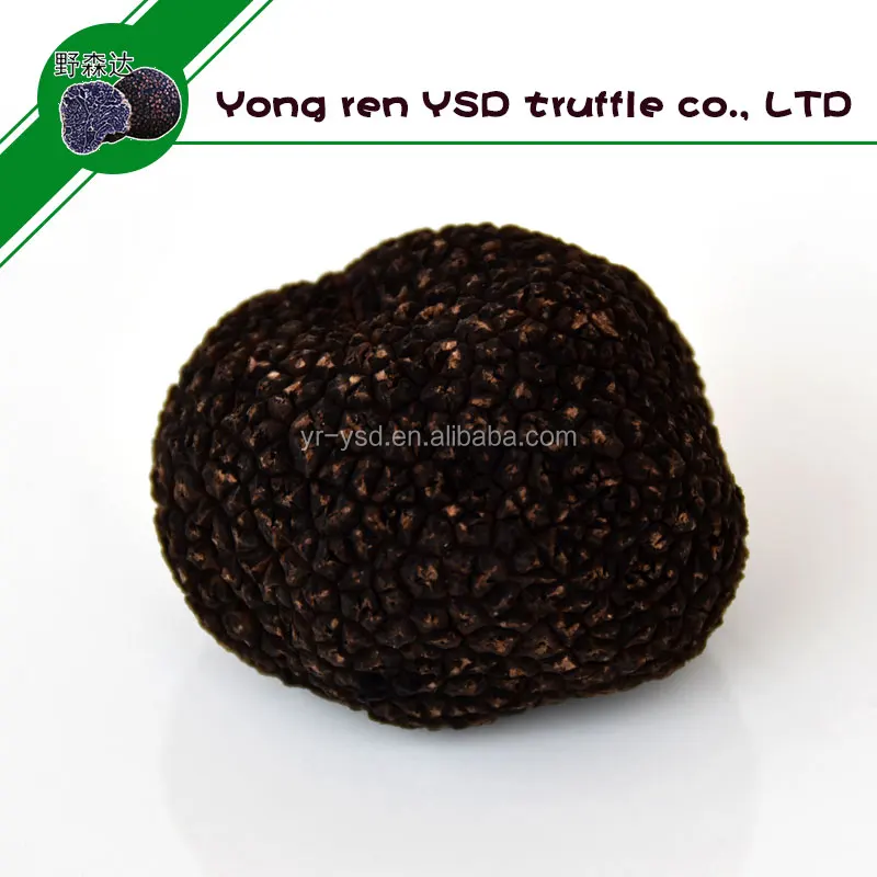 High Quality Yunnan Truffles Wild Mushroom,sell Truffles