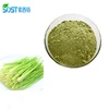 SOST Supply Natural Wheat Grass Juice Extract Powder