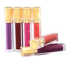 2018 14 Colors Private Label Waterproof Matte Liquid Lipstick Make Your Own Lip Gloss ith led light mirror