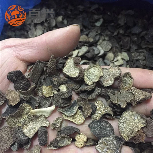 Export price black truffles mushroom price