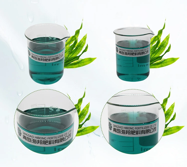 Seahibong Green Liquid Seaweed Micronutrient Fertilizer Seaweed Liquid Calcium Boron ORGANIC Fertilizer