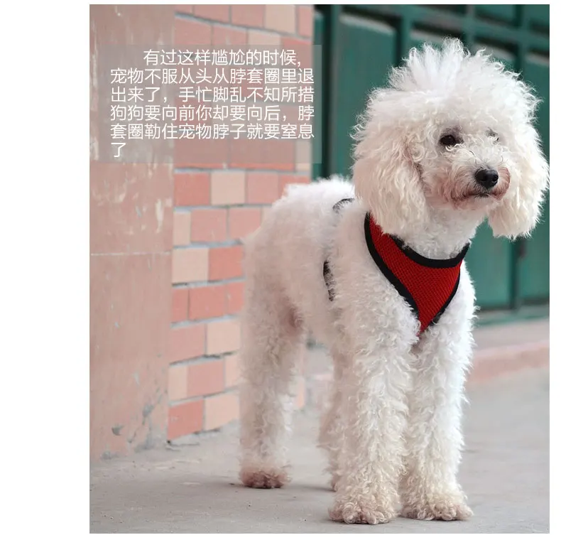 TB2dqYWaVXXXXcLXXXXXXXXXXXX-2266047197