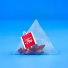 Customized Triangle Nylon Tea Bag with String Tag