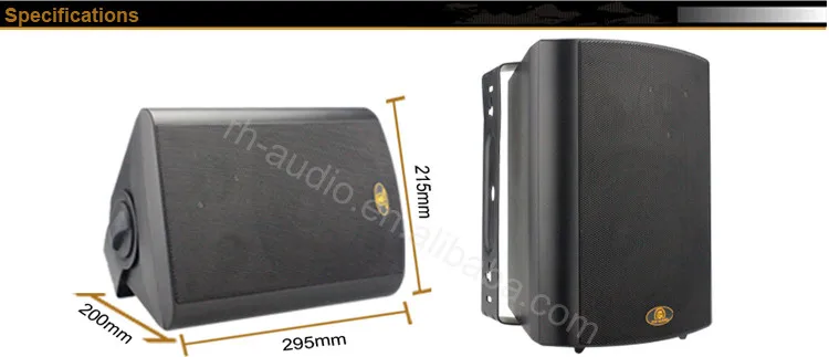 China Factory RH-AUDIO 30W two way active loudspeaker with microphone input - ANKUX.COM