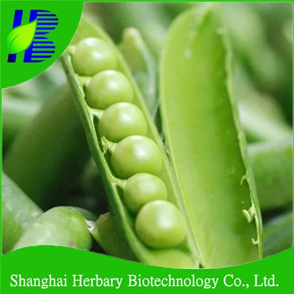 china green peas seed