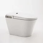 China made sanitary ware bathroom ceramic one piece electric intelligent toilet