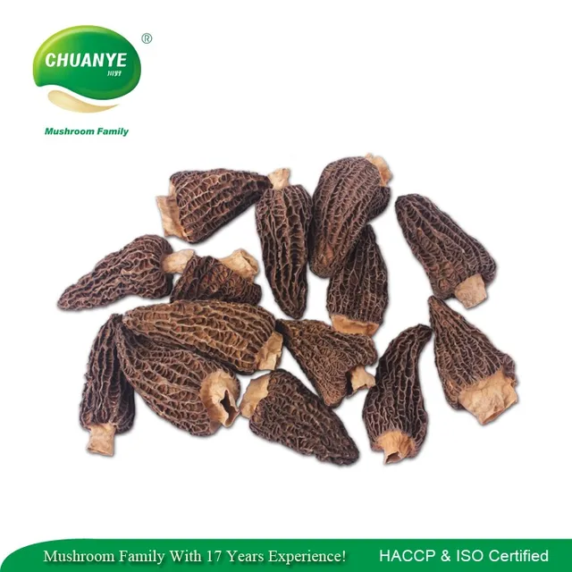 morel mushroom supplier