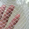 plastic anti bird/Hail/Insect net plants protection net manufacturer for agriculture