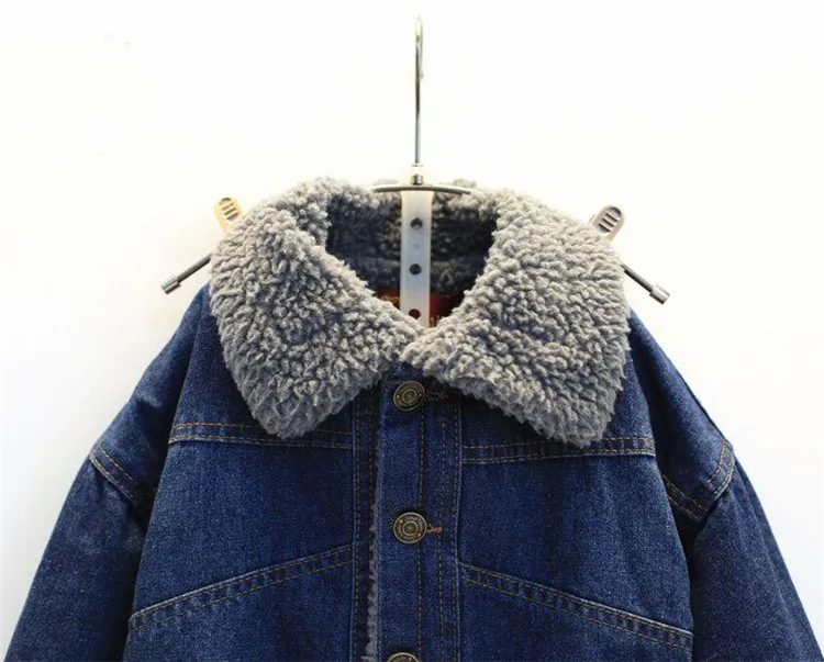 4972966691_1282019318