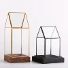 Diamond Shape Glass Prism Terrarium with Brass Rim/Air Plant Display Case/Tea Light Candle Holder