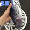 seafrozen fresh skipjack tuna sashimi big size