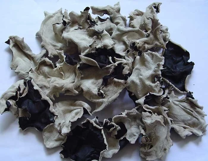 Manufacturers sell low-priced multi-layer belt dryers for beef jerky pet snacks fungus drying