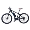 China Alibaba Wholesale Flash Electric Bike Mid Motor Folding Electric Bike/Bicycle