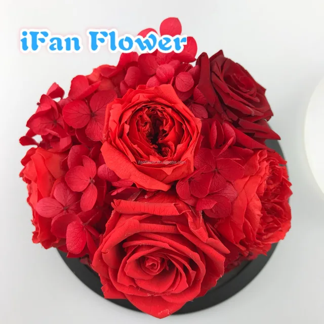 in glass dome with classic gift box eternal fresh rose wholesale