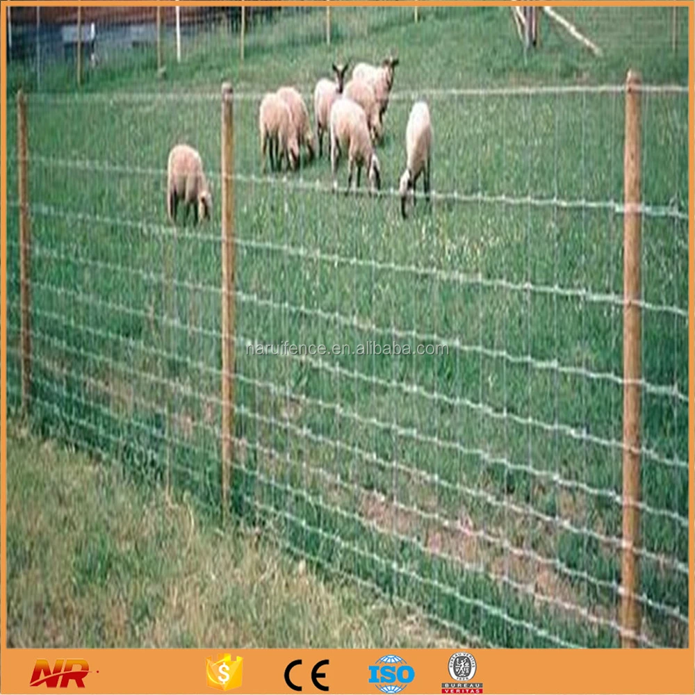 Cattle/deer Farm Fence/animal Wire Mesh(manufacturer) Buy Exporting