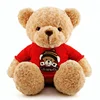 Hola teddy bear plush toys/stuffed toys/custom plush toy for sale