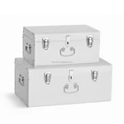 Set 2 Powder Coating Colorful Nested Kids Metal Storage Trunk Box
