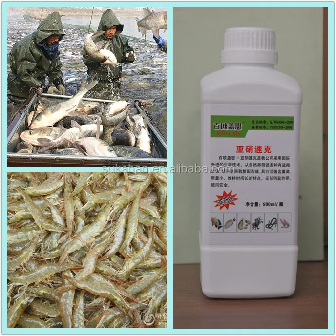 denitrifying bacteria bio-gain denitration product.jpg