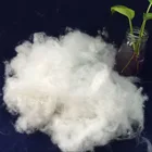 Soft feeling polyester staple fiber silicone with oeko tex 100